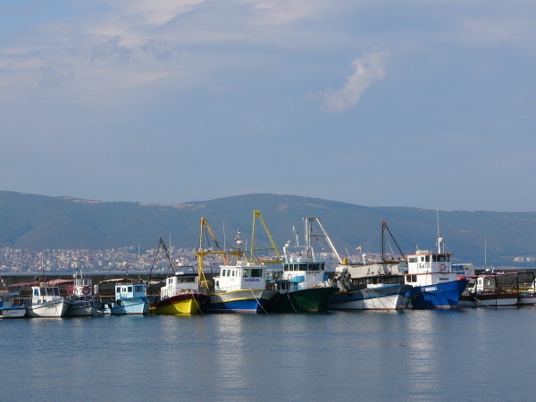 Z pstavu