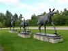 Son losov-26