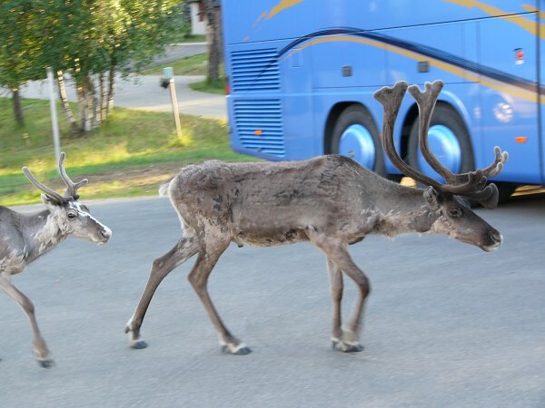 a mezi autobusy