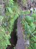 Levada-10
