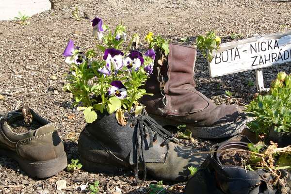Co bota, to zahrdka.