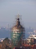 Zlat korunka-59