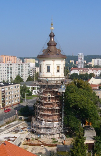 Motl vylz z kukly
